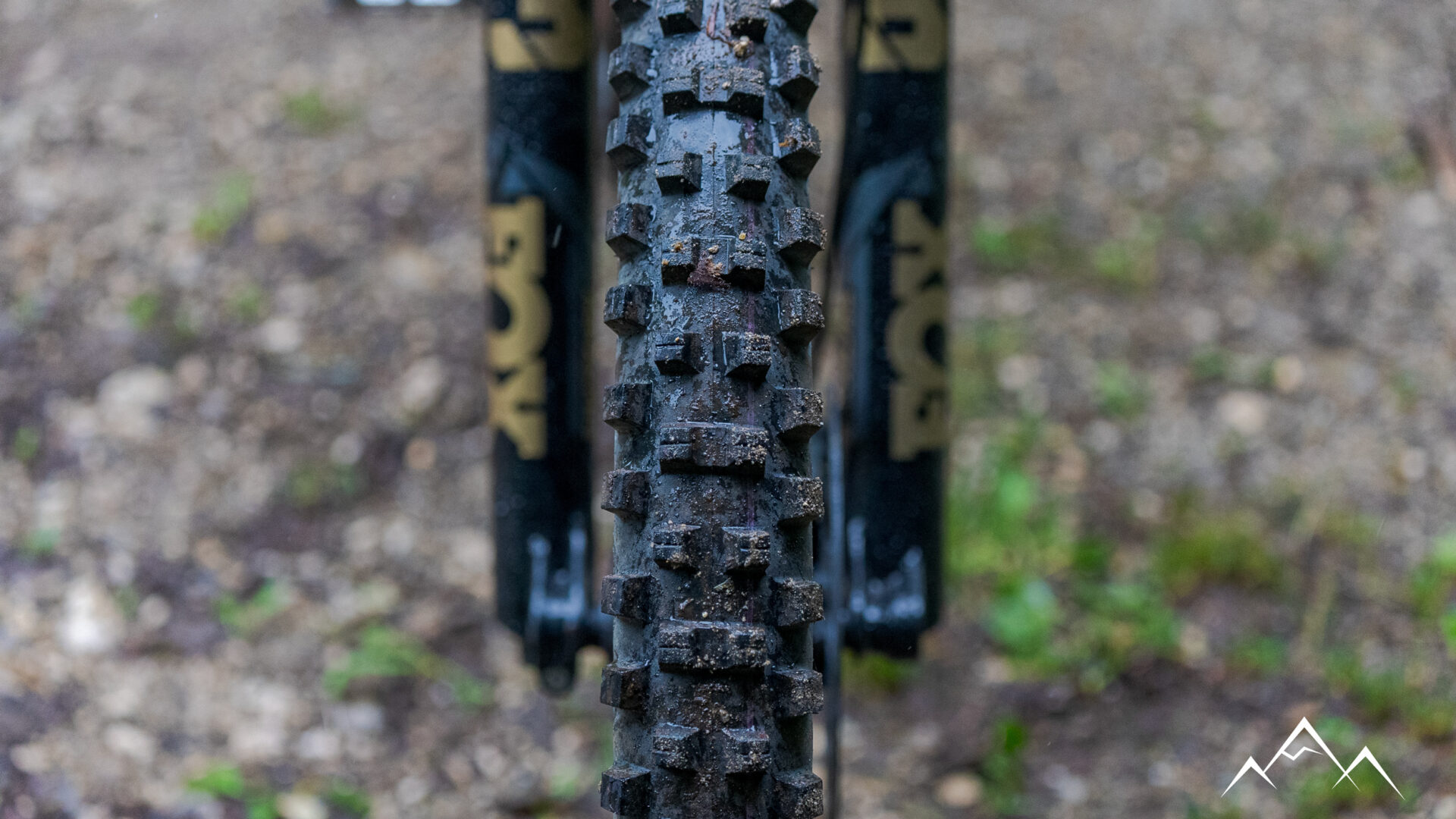 Test | Schwalbe Shredda : Toujours plus !!! - enDHurobike
