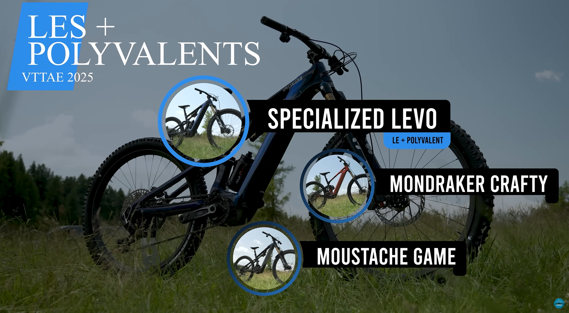 Classement des plus polyvalents