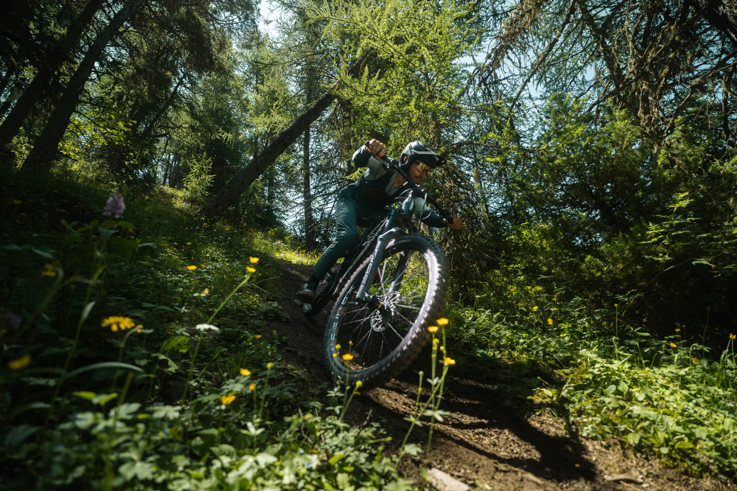 Grand Comparatif VTTAE